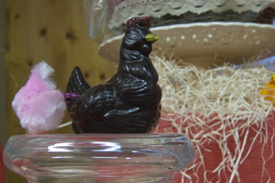 poule